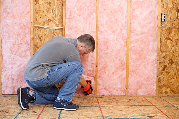 Best Basement Insulation  in Ingram, PA